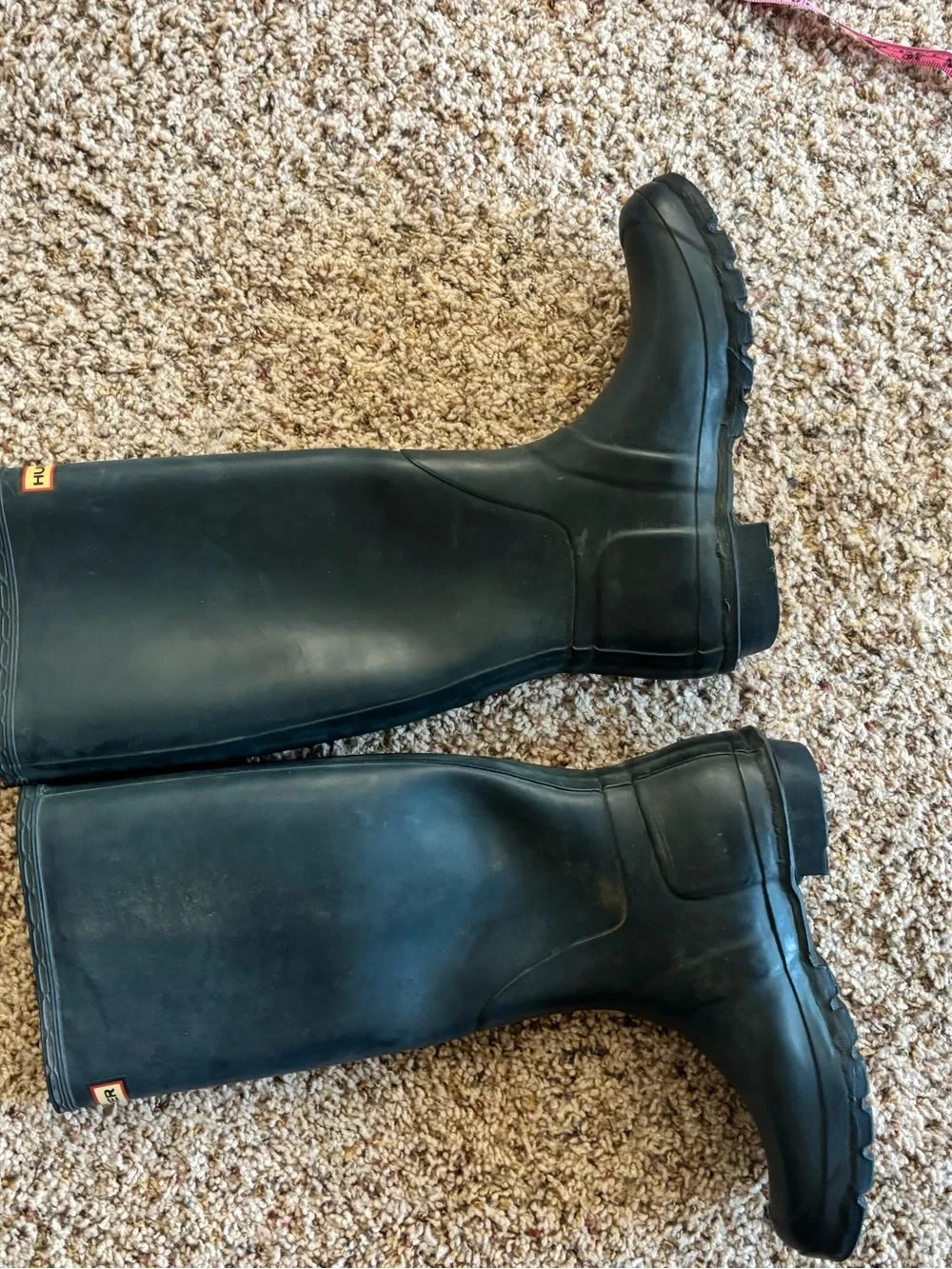 Hunter original tall